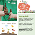 Wildblumen im Würfel – Saatkugel