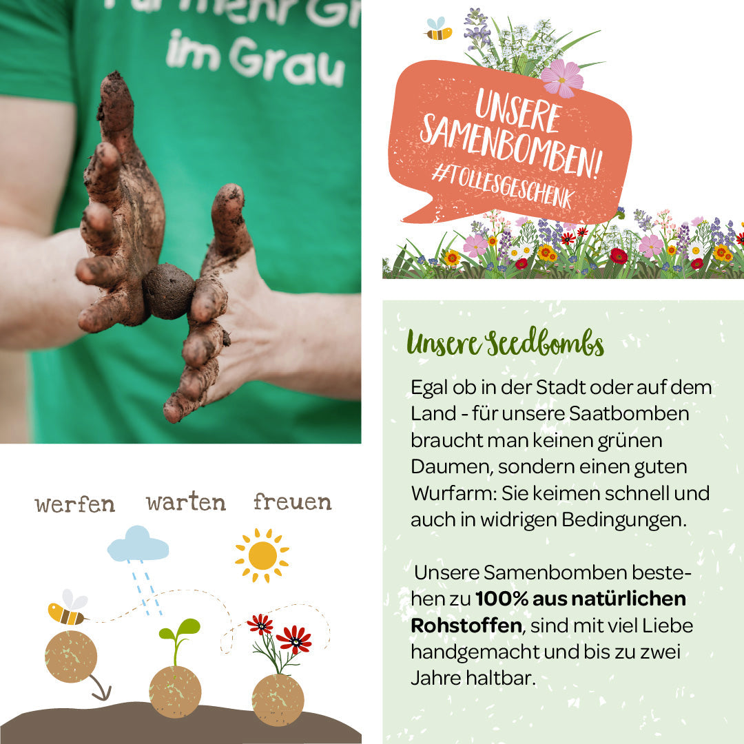 Wildblumen im Würfel – Saatkugel