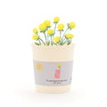 Gummibärenblume - Becher