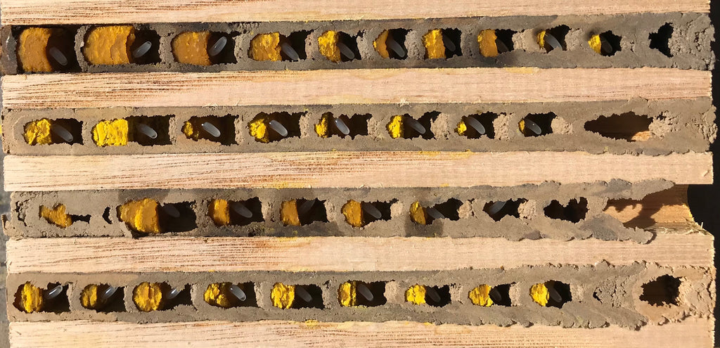Nisthilfe für Mauerbienen