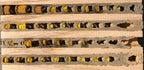 Nisthilfe für Mauerbienen