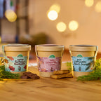 Schokoblumen aus dem Becher